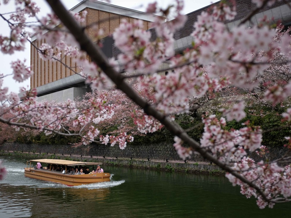 日本京都乘坐游船观赏岸边的樱花
